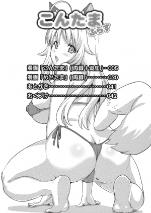 (C75) [Shinjugai (Takeda Hiromitsu)] Kontama Plus (Kanokon, Arcana Heart) [English] [desudesu] [Decensored] - Page 4