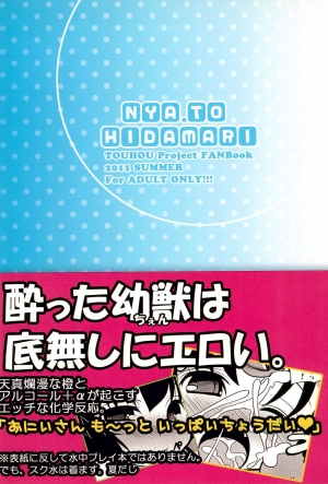 (C80) [Nyaa. to Hidamari (Takamoto Akisa)] Youjuu dakara Daijoubu! | It's Okay Since I'm A Youjuu! (Touhou Project) [English] {Doujins.com} - Page 19