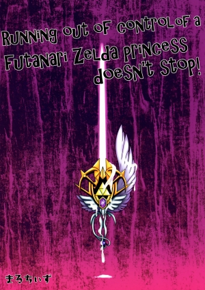 (COMIC1☆9) [Maruchizu (Runrun)] Time Travel - Futanari Princess Zelda is Out of Control! (The Legend of Zelda) [English] - Page 3