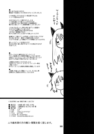 (C78) [Peθ (Mozu)] ELECTRIC★ERECTION (Strike Witches) [English] [YQII] - Page 30