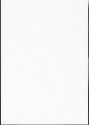 (C95) [Hiroi Heya (GakuGaku)] Tsukaisute Tissue [English] - Page 12