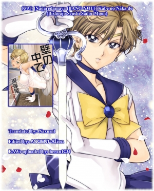 (C91) [Nagaredamaya (BANG-YOU)] Kabe no Naka de (Bishoujo Senshi Sailor Moon) [English] [Naxusnl] - Page 28