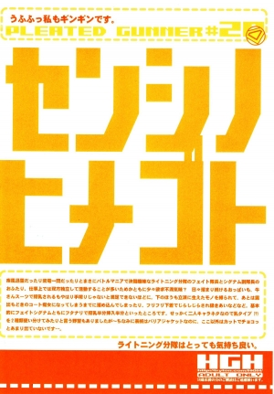 (C77) [HGH (HG Chagawa)] Pleated Gunner #20 Senshi no Himegoto (Part 2) (Mahou Shoujo Lyrical Nanoha) [English][_ragdoll] - Page 18