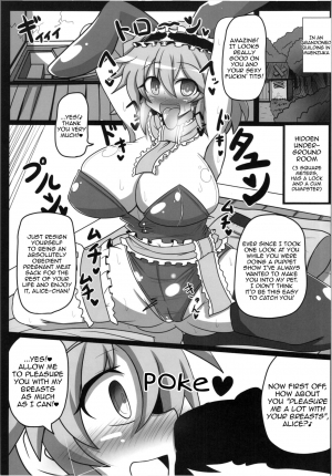 (Reitaisai 12) [Ato Nana Fun (Rindou)] Alice to Sex! (Touhou Project) [English] [Toks] - Page 7