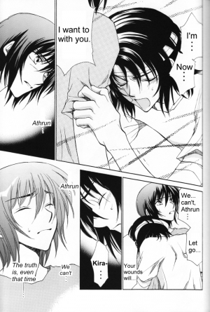 (Mimiket 13) [Yougekishu (Arina Toshimi)] Shakunetsu (Gundam SEED DESTINY) [English] [Arigatomina] - Page 11