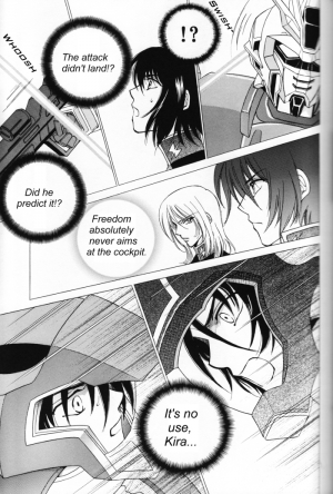 (Mimiket 13) [Yougekishu (Arina Toshimi)] Shakunetsu (Gundam SEED DESTINY) [English] [Arigatomina] - Page 17