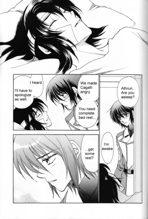 (Mimiket 13) [Yougekishu (Arina Toshimi)] Shakunetsu (Gundam SEED DESTINY) [English] [Arigatomina] - Page 25