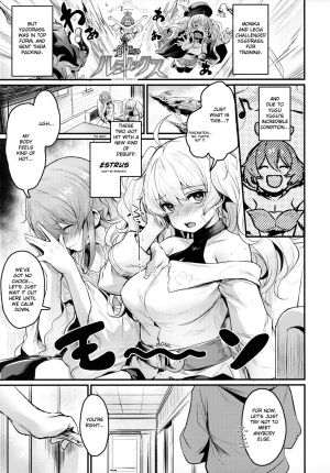 (C97) [Ikkizuka (Kizuka Kazuki, Fue)] Chitsujo Trip (Granblue Fantasy) [English] {Exo Subs} - Page 3