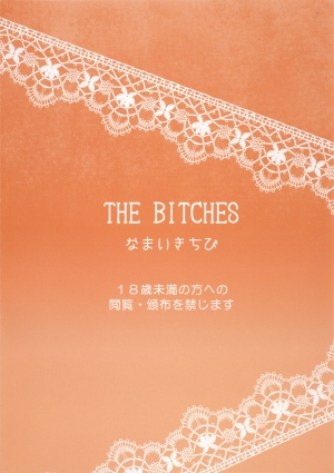 [Namaikichibi (Yuchi, Kyoukei)] THE BITCHES [English] [cutegyaruTL] [2015-10-16] - Page 31