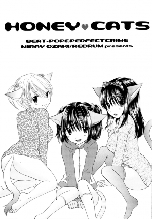 (C75) [BEAT-POP (Ozaki Miray)] HONEY CATS [English] [N04h] - Page 3