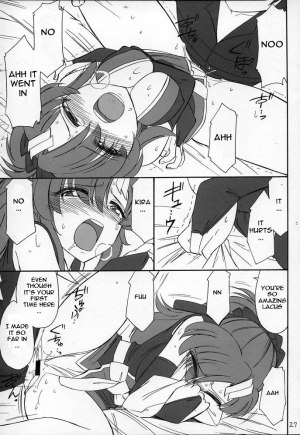 (C69) [EINSATZ GRUPPE (Charlie Nishinaka)] PRISONER 7 The Original Bird (Gundam SEED Destiny) [English] [ReMoe] - Page 27