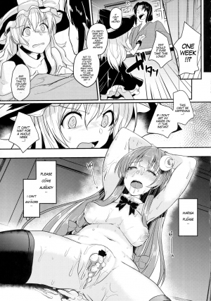 (Reitaisai 15) [Kuusou Monochrome (Abi)] Migawari no Patchouli | Patchouli as a Substitute (Touhou Project) [English] [MegaFagget] - Page 21