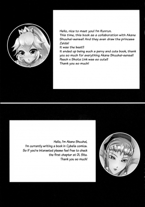(C89) [Akane Shuuhei Dou, Maltese (Runrun, Akane Shuuhei)] Partner Trade (The Legend of Zelda, Super Mario Brothers) [English] [Otokonoko Scans] - Page 16