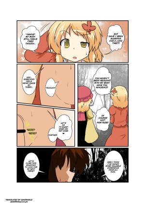 [Ameshoo (Mikaduki Neko)] Touhou TS Monogatari ~Aki Shimai Hen~ (Touhou Project) [English] [Sandwhale] - Page 22