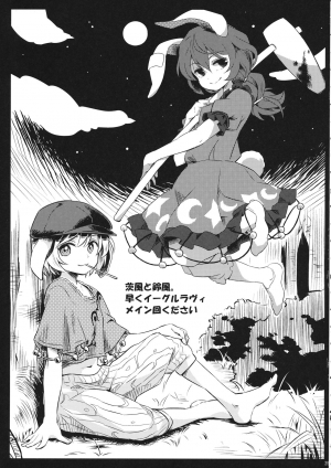 (C89) [Animal Passion (Yude Pea)] Speed Strike Seiran (Touhou Project) [English] [desudesu] - Page 25