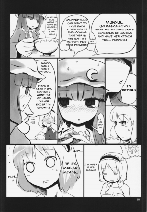 (Reitaisai 10) [Yashiya (Yassy)] Touhou Ero Atsume. Ch. 1 (Touhou Project) [English] - Page 7